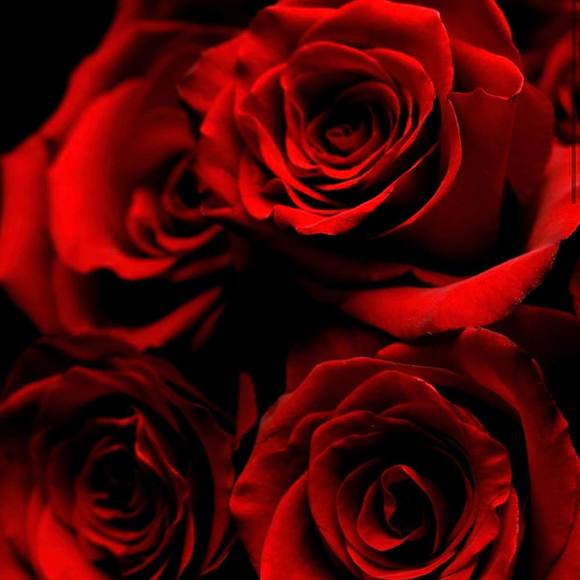 Profile Picture of Yvette Mata (@yayala76) on Poshmark