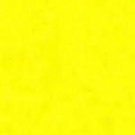 Profile Picture of Josh Petree (@yxng.jsh) on Instagram