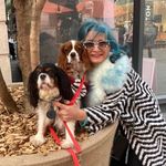 Michelle Huberman - Instagram Profile Picture of Michelle Huberman (@michellehuberman) on Instagram