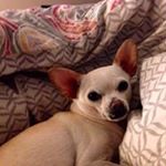 Profile Picture of Teresaloflindavidson (@teresaloflindavidson) on Instagram