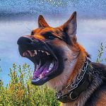 Profile Picture of Adam Richard (@adam_wesson) on Instagram