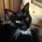 Profile Picture of Hartmut Unger (@hartmutunger) on Instagram