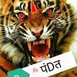 Profile Picture of Eesh Pandit ,shreesh sharma (@kalpna_nandan_shreesh) on Instagram