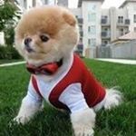 Profile Picture of Alejandro Calzada (@alejandrog_calzada) on Instagram