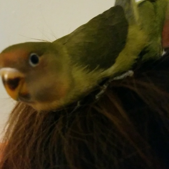 Profile Picture of Alyssa Doronio (@alyleigh94) on Poshmark