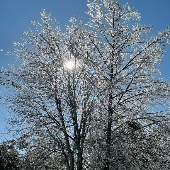 Profile Picture of David Robertson (@davidroberts773) on Poshmark