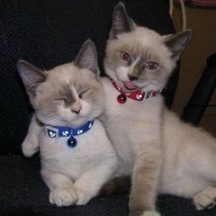 Profile Picture of Bridgit Jones (@bridgit.jones) on Tiktok