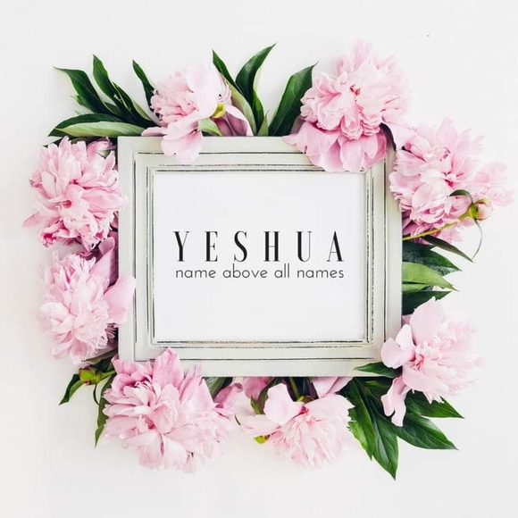 Profile Picture of Diana a Izard (@dkolata) on Poshmark