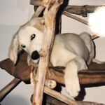 Lucia Rizzo - Instagram Profile Picture of Lucia Rizzo (@rizzo.lucia) on Instagram