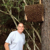 Profile Picture of Mike Barry (@MikeBarryBees) on Youtube