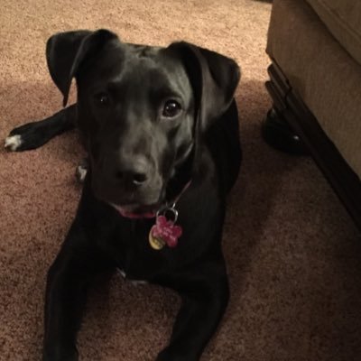 Profile Picture of Shawn Horton (@horton_shawn) on Twitter