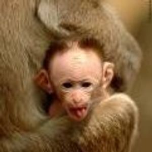 Profile Picture of Hindi (@hindi1223555) on Myspace