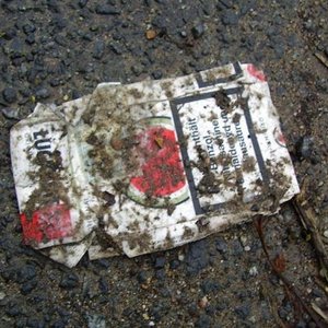 Profile Picture of Lucky Lights (@luckylights) on Myspace