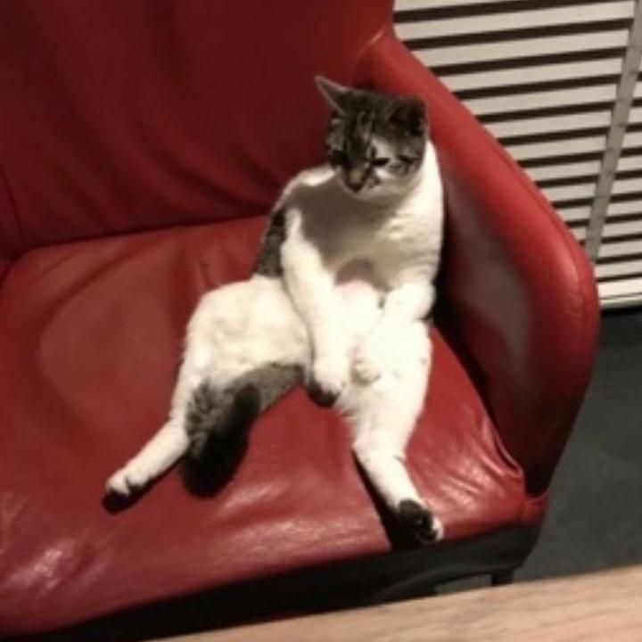 Profile Picture of SoniaPetersen (@hj2s68018qy) on Tiktok