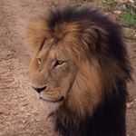 Profile Picture of Doug pratt (@prattcoisme) on Instagram