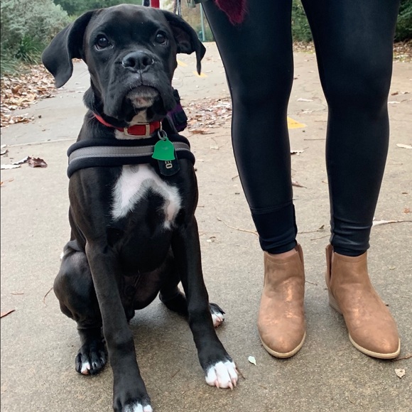 Profile Picture of Julia Varnon (@juls1978) on Poshmark