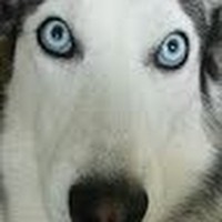 Profile Picture of Christopher Adkins (@christopher-adkins-12) on Quora