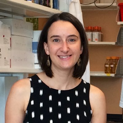 Profile Picture of Amanda Whipple (@LabWhipple) on Twitter