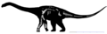 Profile Picture of Wintonotitanon Wikipedia
