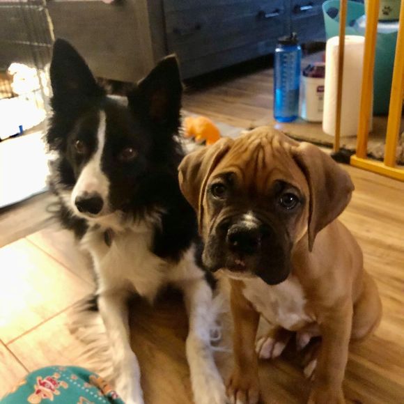 Profile Picture of Liann Mirabelle (@liannmirabelle) on Poshmark