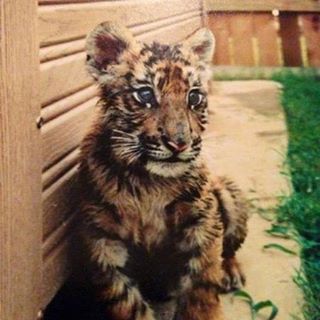 Doris Fleitz - Facebook Profile Picture of Doris Fleitz (@doris.fleitz.7) on Facebook