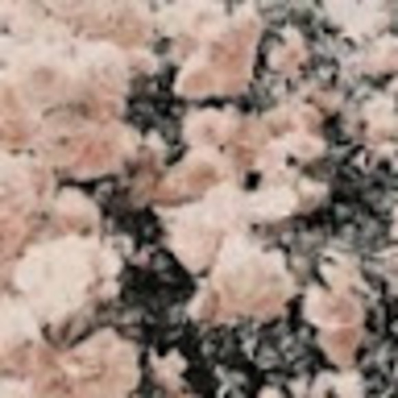 Profile Picture of Leah Theroux (@leahtheroux235) on Poshmark