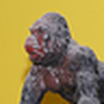 Profile Picture of Daniel Kahn (@dankahnhoo) on Flickr
