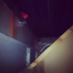 Profile Picture of Stefan Kozma (@kozma.stefan) on Instagram