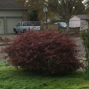 Profile Picture of Tonya Berry (@trberr3s) on Myspace