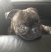 Profile Picture of Alexander Wilhelm (@alexander.wilhelm.501598) on Facebook