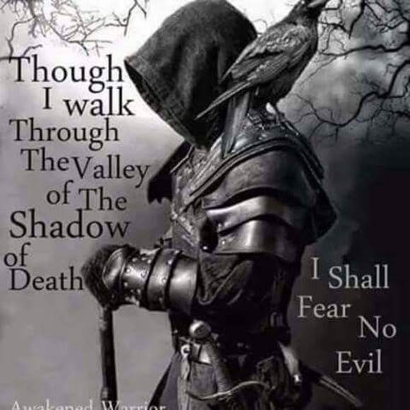 Profile Picture of Debi Dipillo (@debidipillo) on Poshmark