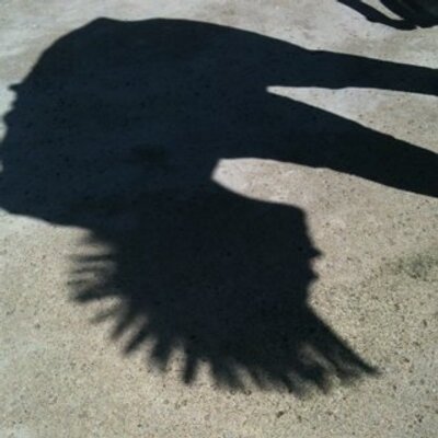 Profile Picture of Steven Markel (@Steve_Markel) on Twitter