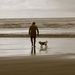 Profile Picture of Scott Bradburn (@scottbradburn) on Pinterest