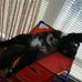 Profile Picture of Gidget Walker (@gidget.walker.7) on Facebook