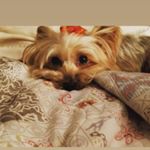 Profile Picture of kim Guidry (@ktguidry) on Instagram