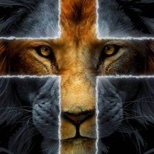 Profile Picture of Robert Peebles (@RobertP10131166) on Twitter