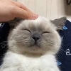 Profile Picture of Nicole nini (@@jennifergarney) on Tiktok