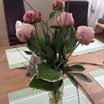 Profile Picture of Karin Albertsson (@bjorstorp_157) on Instagram