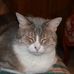 Profile Picture of Verveine Bouysson (@Verveine-Bouysson) on Facebook