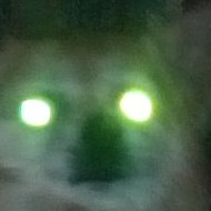 Profile Picture of Kaleb Bailey (@Kaleb-Bailey) on Facebook