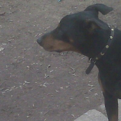 Profile Picture of Tyrell Edwards (@trew2life) on Twitter