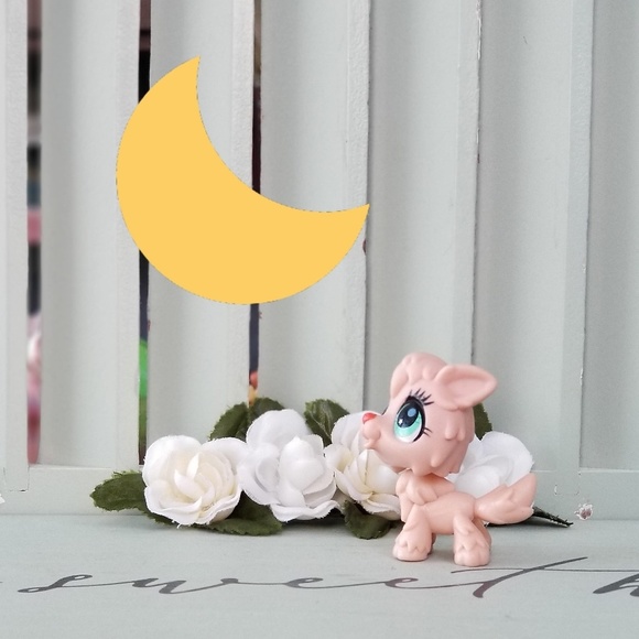 Profile Picture of Stacie Vaughn (@headfoma) on Poshmark