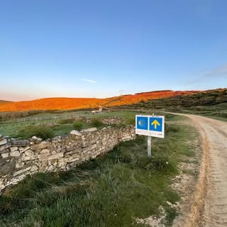 Profile Picture of camino_paul (@camino_paul) on Instagram