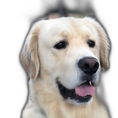 Profile Picture of O.Pubill (@Armillas10) on Twitter