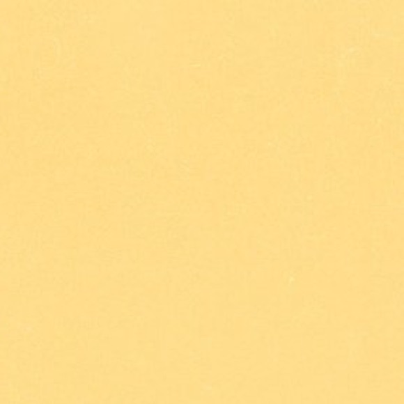 Profile Picture of Leah Ayala (@leah_ayala) on Poshmark