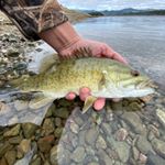 Profile Picture of Michael Spencer (@oakmanorflyfishing) on Instagram
