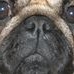 Profile Picture of Graham Winter (@graham.winter.1804) on Facebook