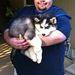 Profile Picture of Raul Lujardo (@fatmanrpl) on Pinterest