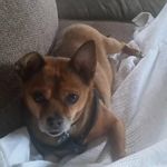 Profile Picture of Kevin Ray Justice (@kevinjustice32) on Instagram