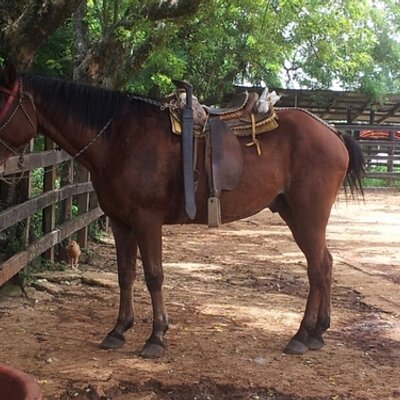 Profile Picture of Ian Acosta (@ianacosta64) on Twitter